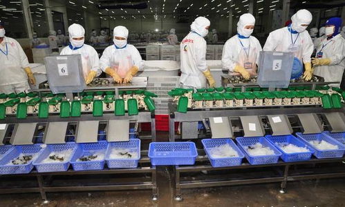 为何说越南不可能完成工业化呢 原因主要是三点