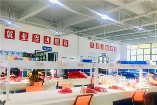 浙江人在阿坝 产业扶贫 直通车 义乌的原料,远赴汶川加工