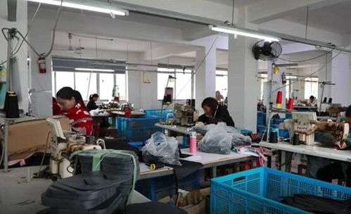 浙江 多措并举 带动低收入农户收入大幅增长